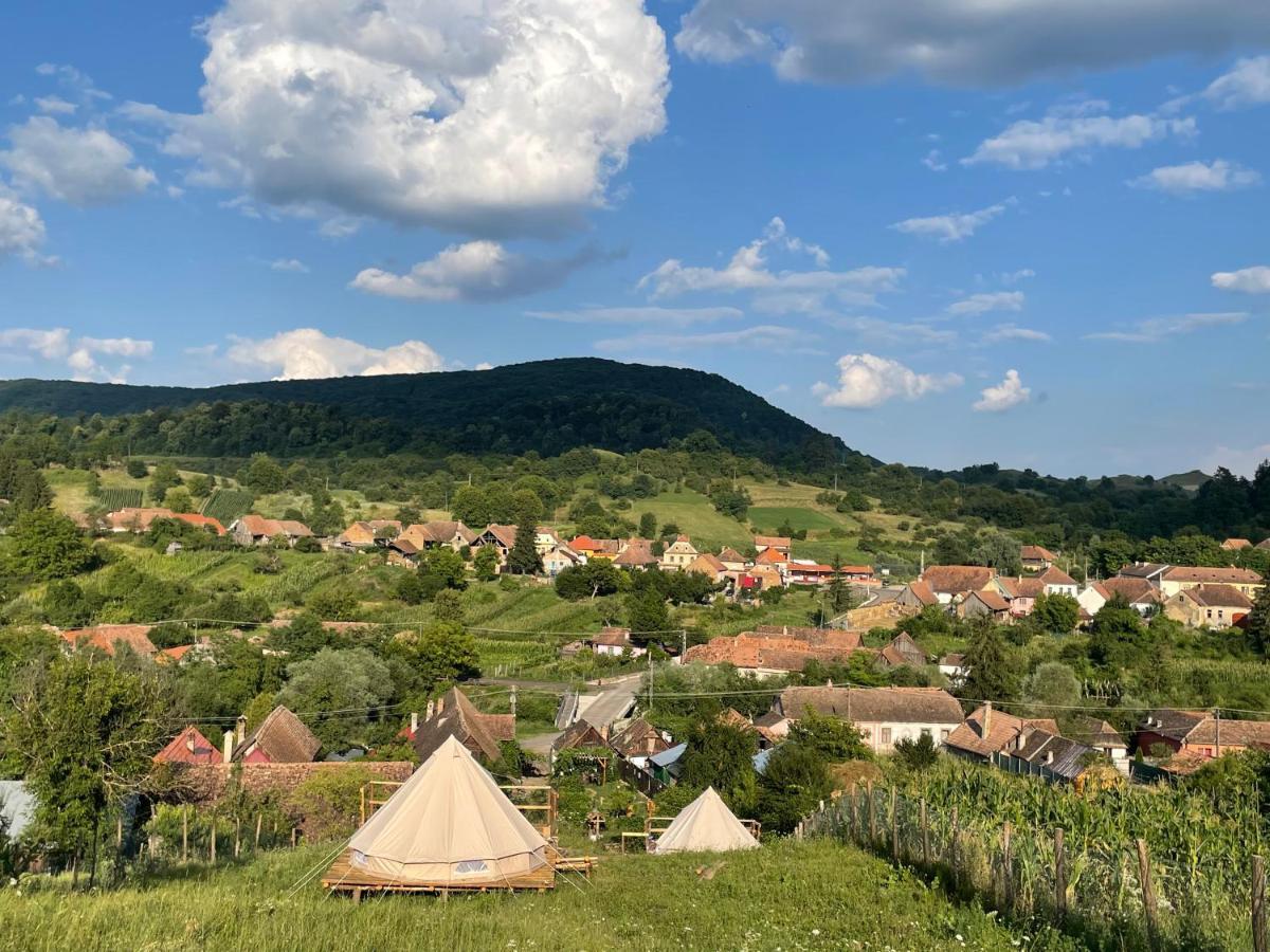 Saschiz 130/Lodging And Glamping Екстериор снимка
