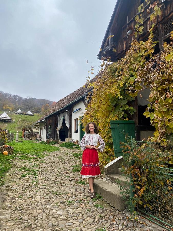 Saschiz 130/Lodging And Glamping Екстериор снимка